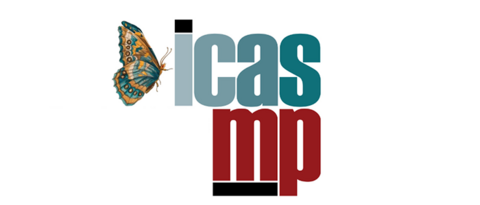 ICAS:MP Cross-Modular Conference 2024