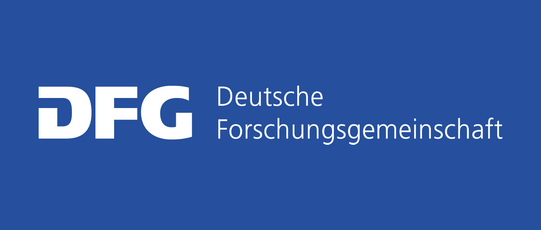 DFG-project: Subjective and objective professional success of PhD holders in Germany