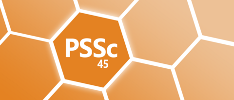 Zwei-Hauptfach-Master PSSc 45